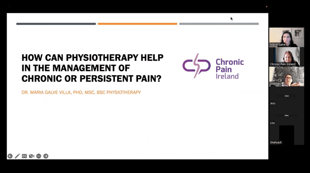 How can physiotherapy help in the management of chronic or persistent pain?